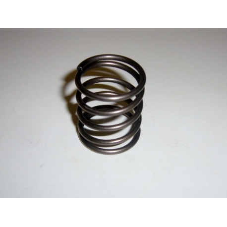 MOLLA RICHIAMO PISTONE POMPE IDROPULITRICE LAVORWASH 4.007.0025 FASA ORIGINALE MOLLA RICHIAMO PISTONE POMPE IDROPULITRICE LAVORWASH 4.007.0025 FASA ORIGINALE