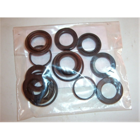 KIT GUARNIZIONI TENUTE ACQUA IDROPULITRICE POMPA LAVORWASH 6.605.0088 ORIGINALE KIT GUARNIZIONI TENUTE ACQUA IDROPULITRICE POMPA LAVORWASH 6.605.0088 ORIGINALE