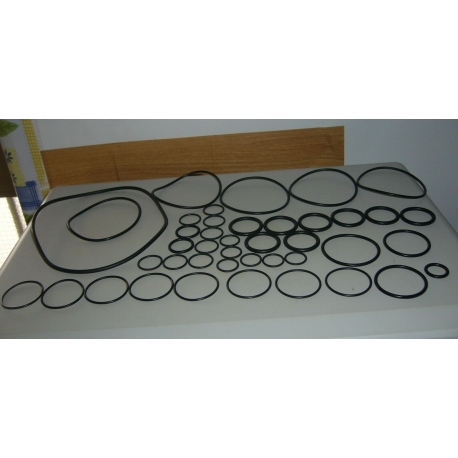 KIT OR ORING POMPA IRRORATRICI IRRORAZIONE ANNOVI REVERBERI AR904 1044 BH1000 KIT OR ORING POMPA IRRORATRICI IRRORAZIONE ANNOVI REVERBERI AR904 1044 BH1000