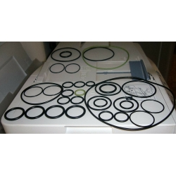 KIT OR ORING POMPA IRRORATRICI IRRORAZIONE ANNOVI REVERBERI 503 1984  