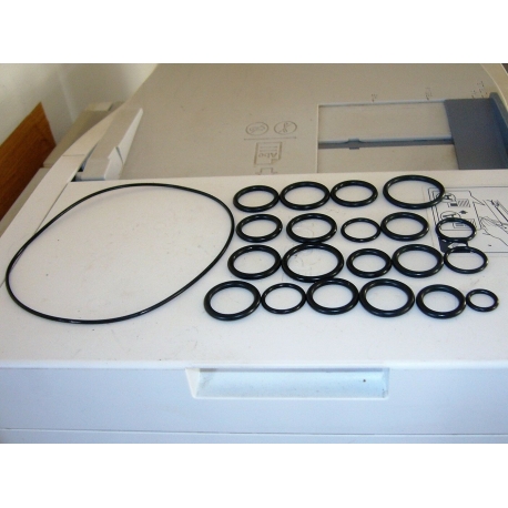 KIT OR ORING POMPA IRRORATRICI IRRORAZIONE ANNOVI REVERBERI AR202 AR252  2409