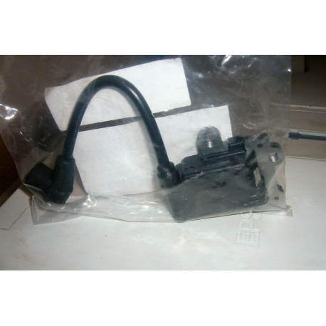 BOBINA ACCENSIONE MOTOSEGA JONSERED CS2236T CS 2236 T ORIGINALE 576857201 BOBINA ACCENSIONE MOTOSEGA JONSERED CS2236T CS 2236 T ORIGINALE 576857201