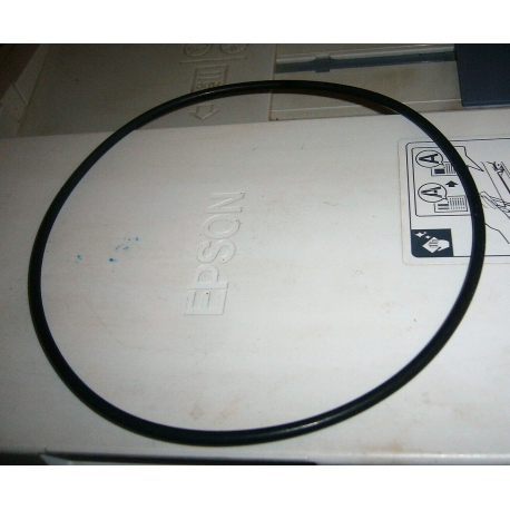 ORING  POMPA ACQUA RAMATA POMPA IRRIGAZIONE ANNOVI REVERBERI AR703 142,5X3,53