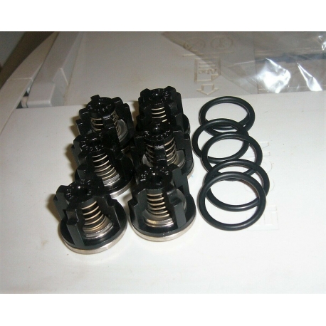 Kit Valves Pumps Irrigation Spraying 303 Annovi Reverberi Original 2388 Kit Valves Pumps Irrigation Spraying 303 Annovi Reverberi Original 2388