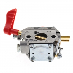 CARBURATORE SOFFIATORE...