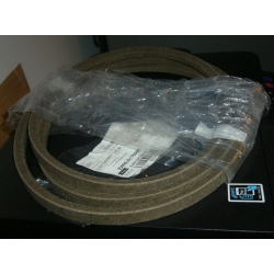 CINGHIA CINTA MOTORE PIATTO...