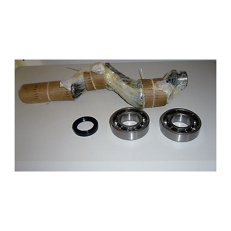 KIT ALBERO B3800 B3800B NS 18 COMPRESSORE GRUPPO POMPANTE ABAC NUAIR CECCATO