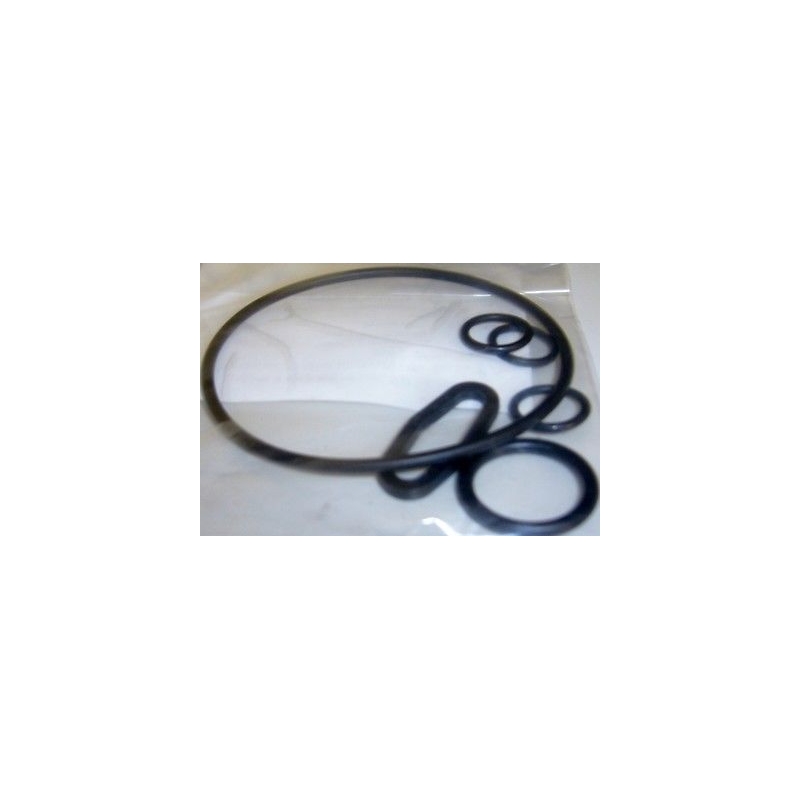 KIT ORING O-RING GUARNIZIONE POMPA IDROPULITRICI LAVORWASH ORIGINALI 6.005.0226